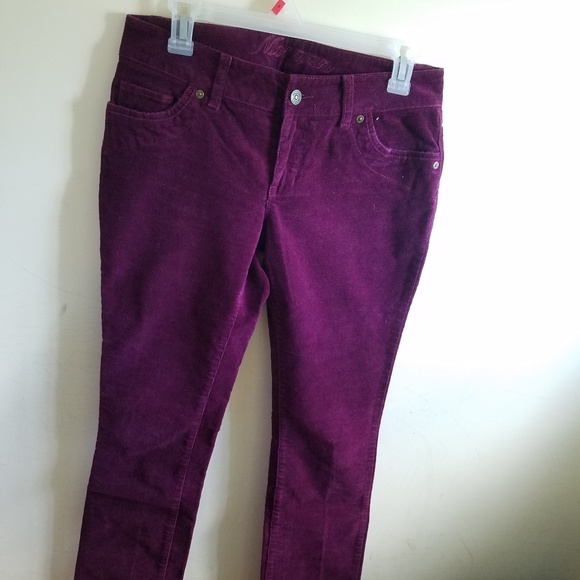 Purple Corduroy Pants - Picture 1 of 2